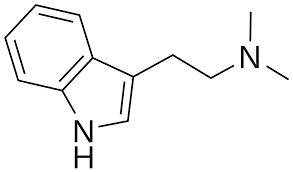 ಡೈಮಿಥೈಲ್ಟ್ರಿಪ್ಟಮೈನ್ : ಭ್ರಮೆಕಾರಕ ಔಷಧ