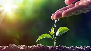 🌿 ಅಂತರಾಷ್ಟ್ರೀಯ ಪರಿಸರ ಸಂರಕ್ಷಣಾ ಒಕ್ಕೂಟ (ಐಯುಸಿಏನ್)