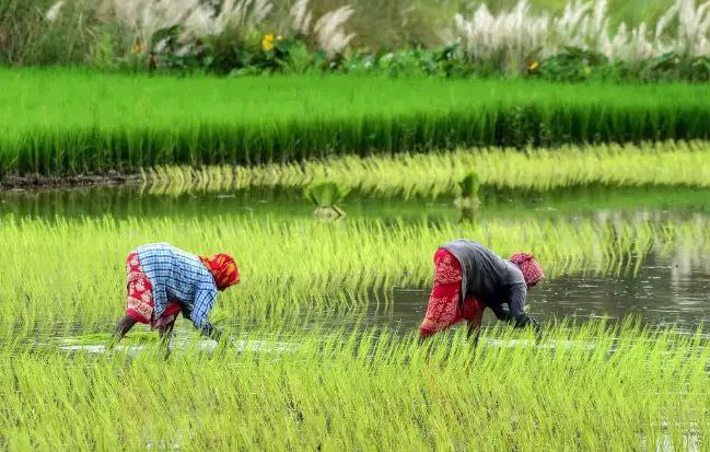 ಪೋಡಿ ಅಭಿಯಾನ – ಕರ್ನಾಟಕದಲ್ಲಿ ಭೂಮಿಗಳ ಸ್ಪಷ್ಟತೆಗಾಗಿ ಮಹತ್ವಾಕಾಂಕ್ಷಿ ಯೋಜನೆ